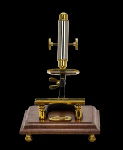 Pendulux Decor|Microscope Stand