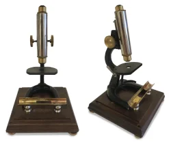 Pendulux Decor|Microscope Stand